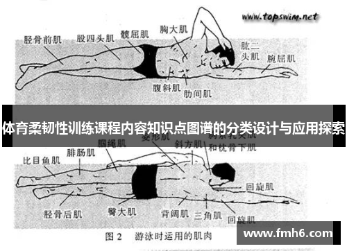 体育柔韧性训练课程内容知识点图谱的分类设计与应用探索